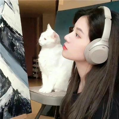 飞踢天使